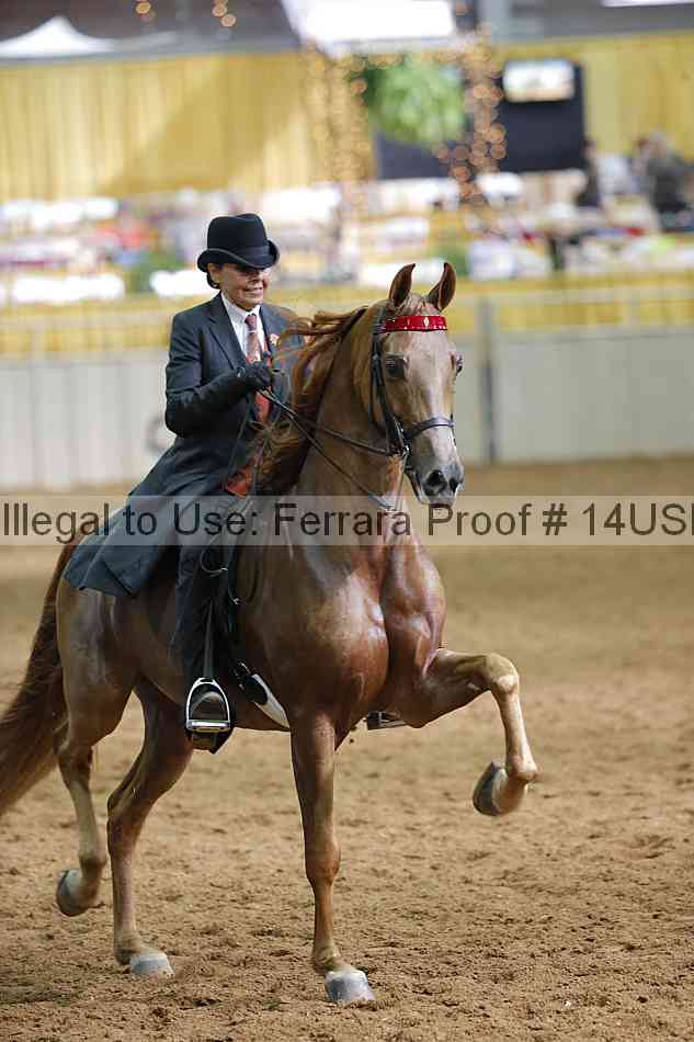 Proof 14usn_22305