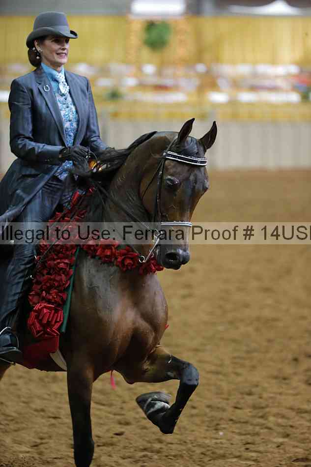Proof 14usn_22351
