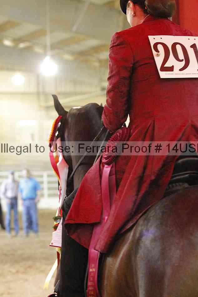 Proof 14usn_22353