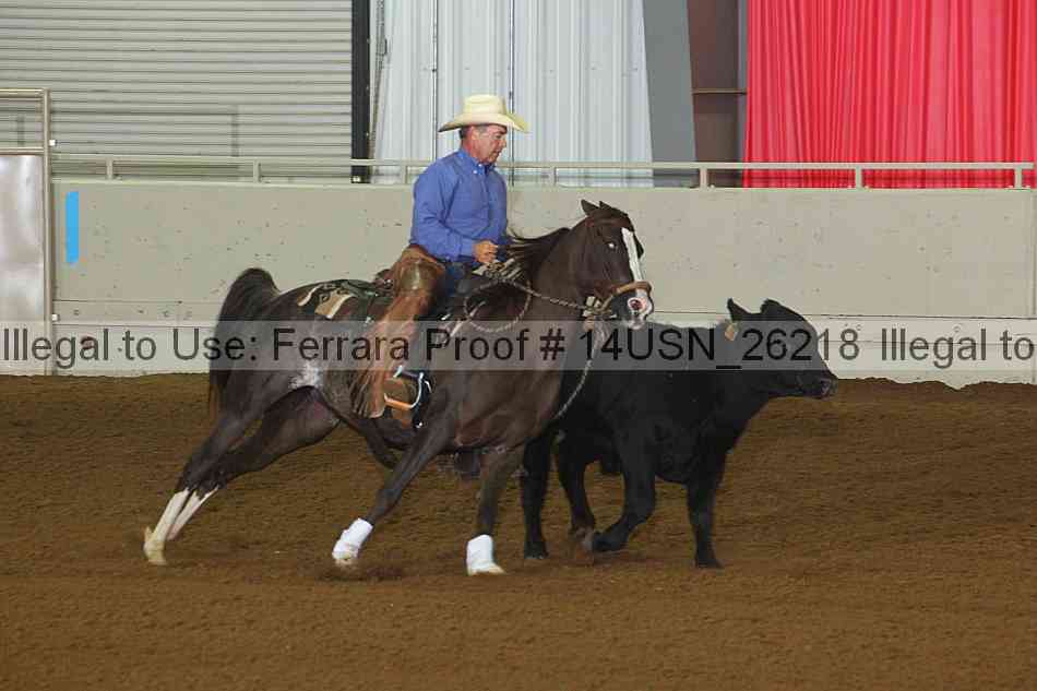 Proof 14usn_26218
