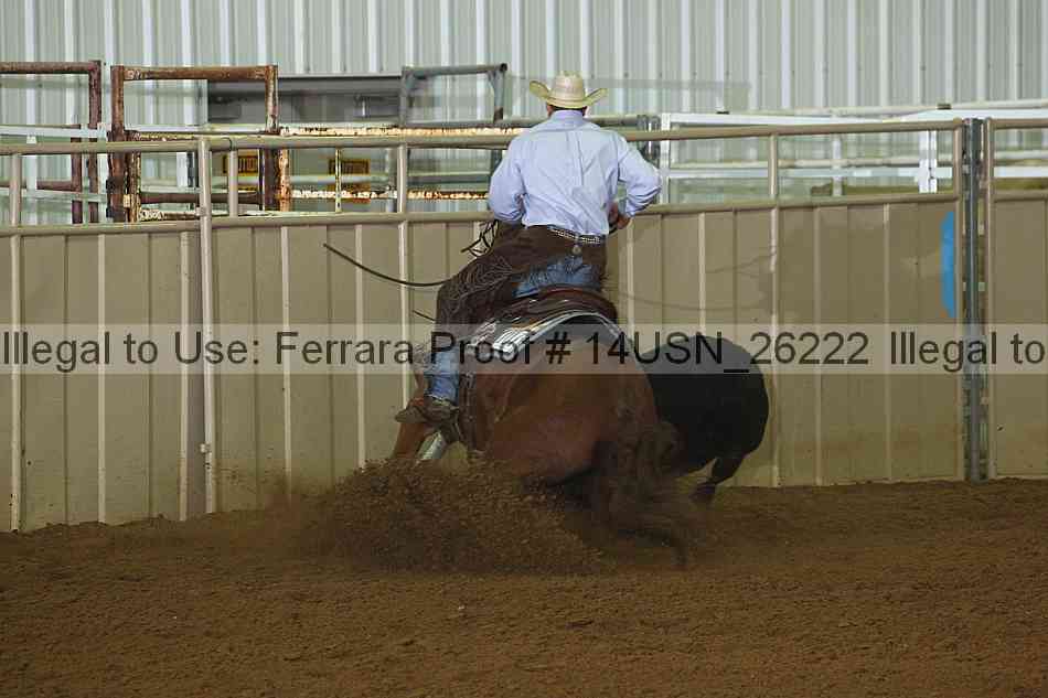 Proof 14usn_26222
