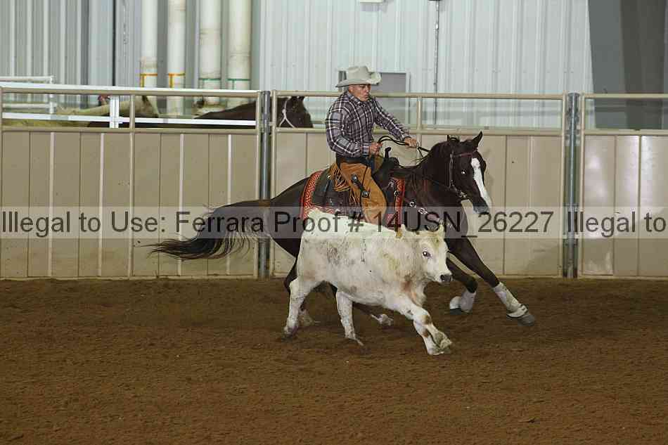 Proof 14usn_26227