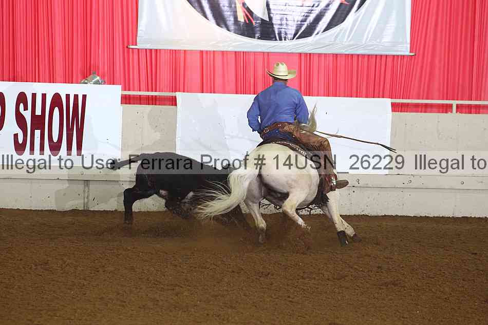 Proof 14usn_26229