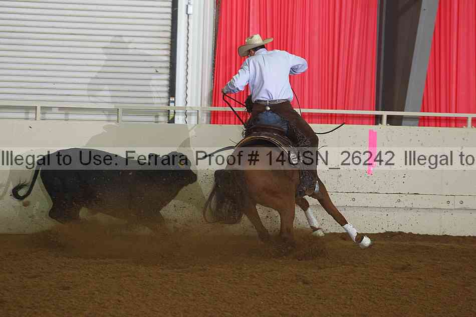 Proof 14usn_26242