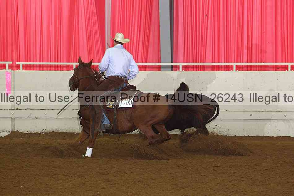 Proof 14usn_26243