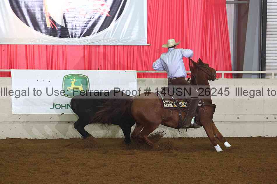 Proof 14usn_26245