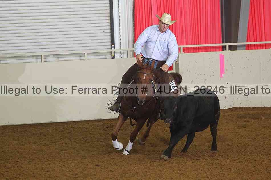 Proof 14usn_26246