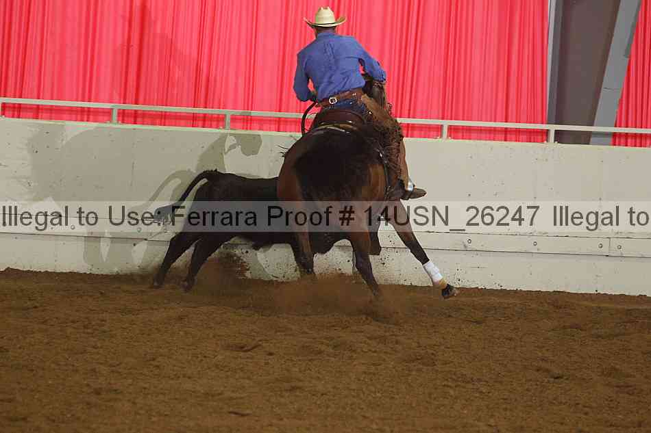Proof 14usn_26247