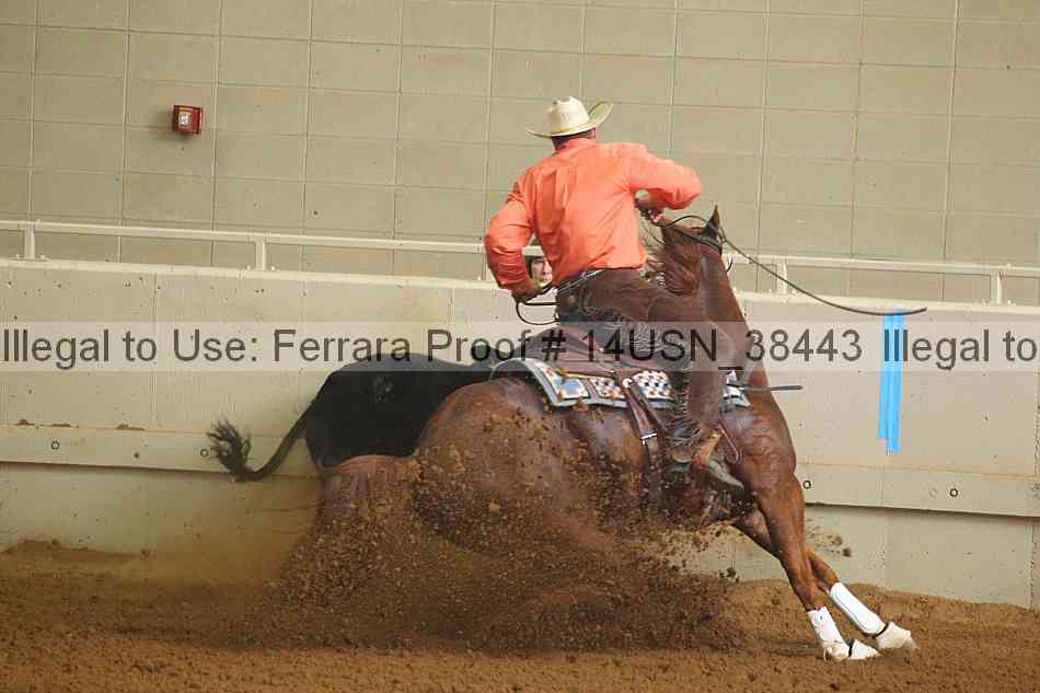 Proof 14usn_38443