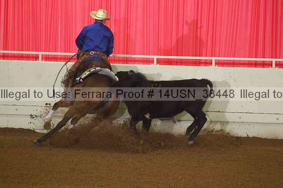 Proof 14usn_38448