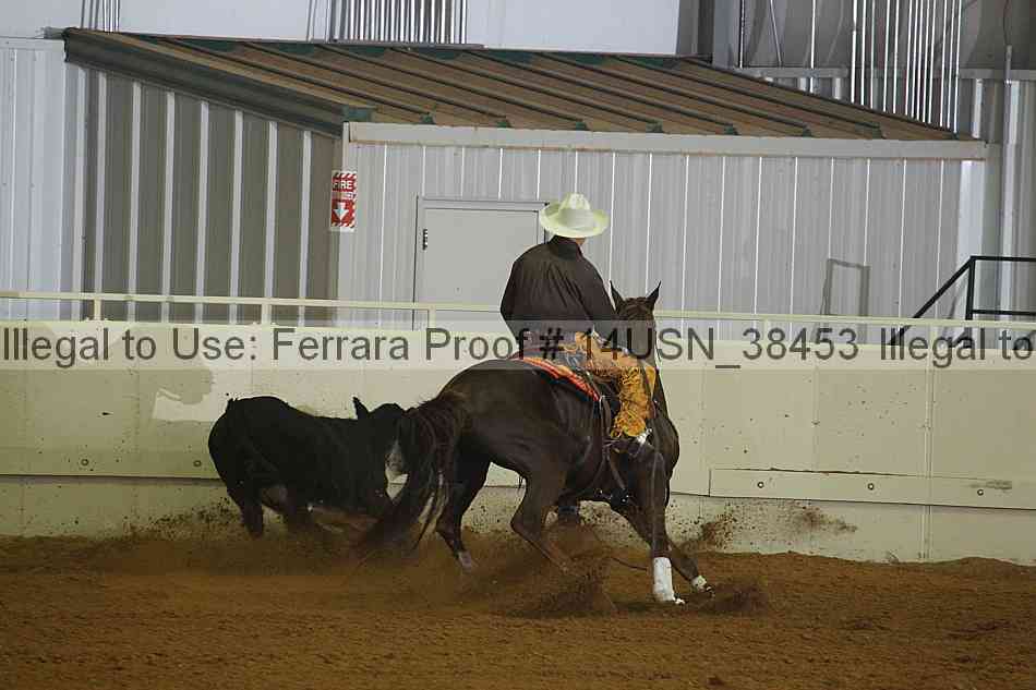 Proof 14usn_38453
