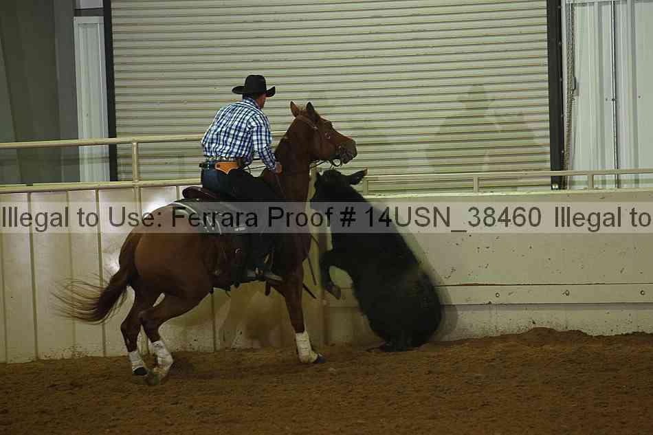 Proof 14usn_38460