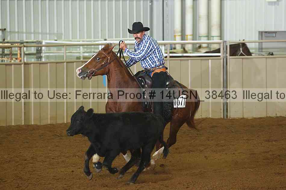 Proof 14usn_38463