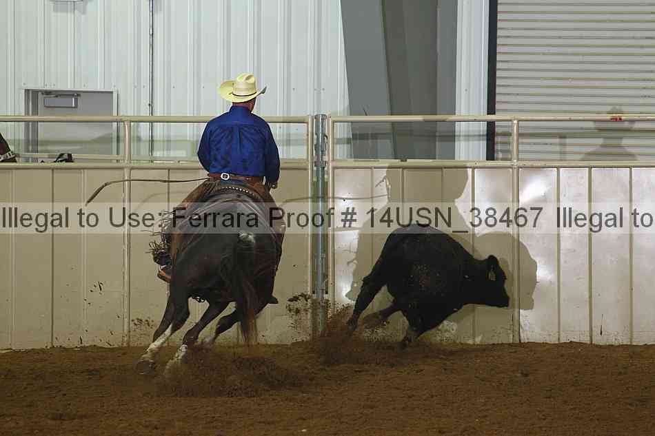 Proof 14usn_38467
