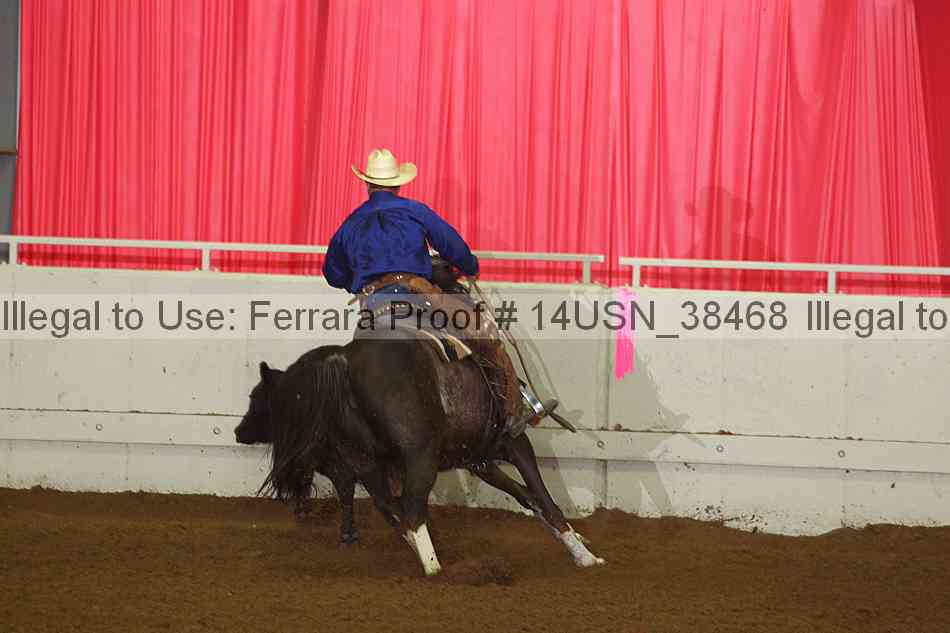 Proof 14usn_38468