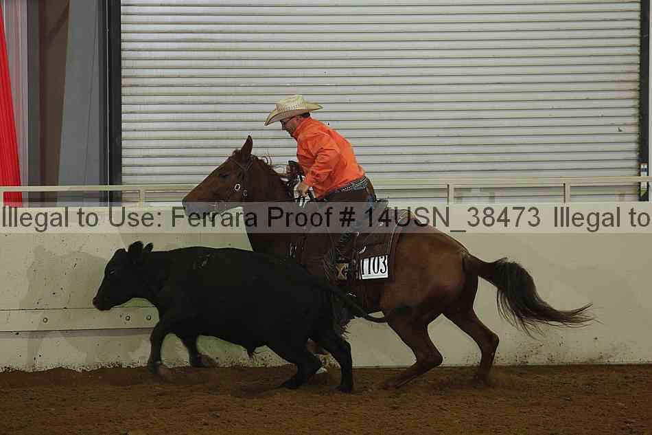 Proof 14usn_38473