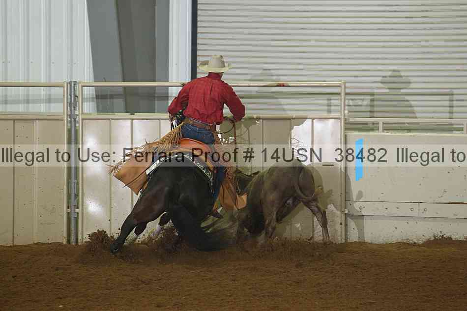 Proof 14usn_38482
