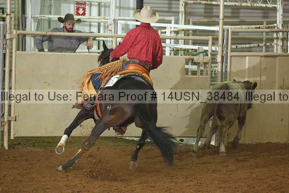 Proof 14usn_38484