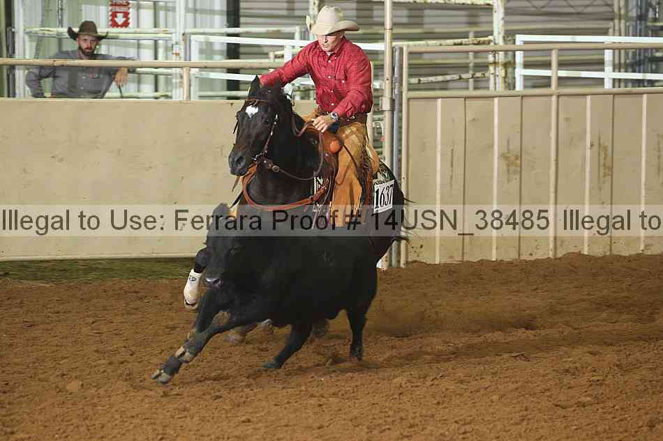 Proof 14usn_38485
