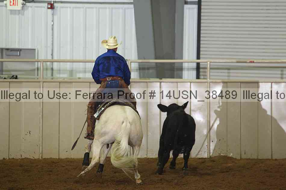 Proof 14usn_38489
