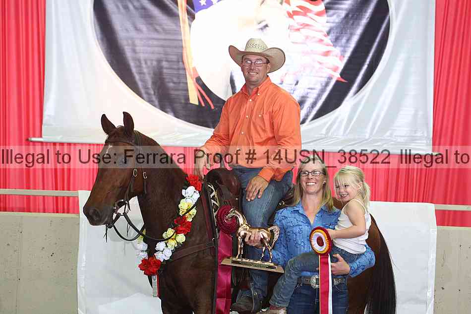 Proof 14usn_38522
