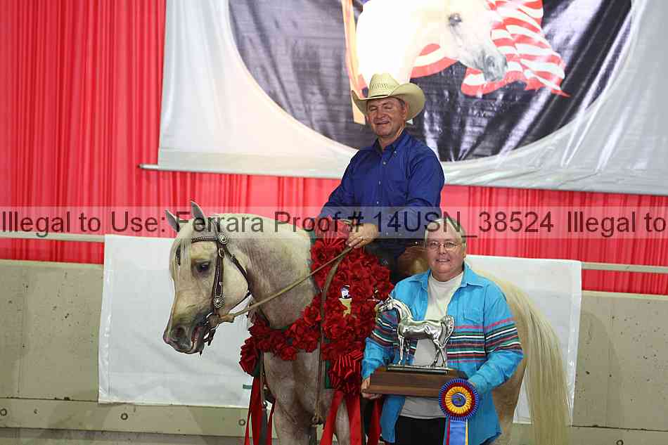 Proof 14usn_38524
