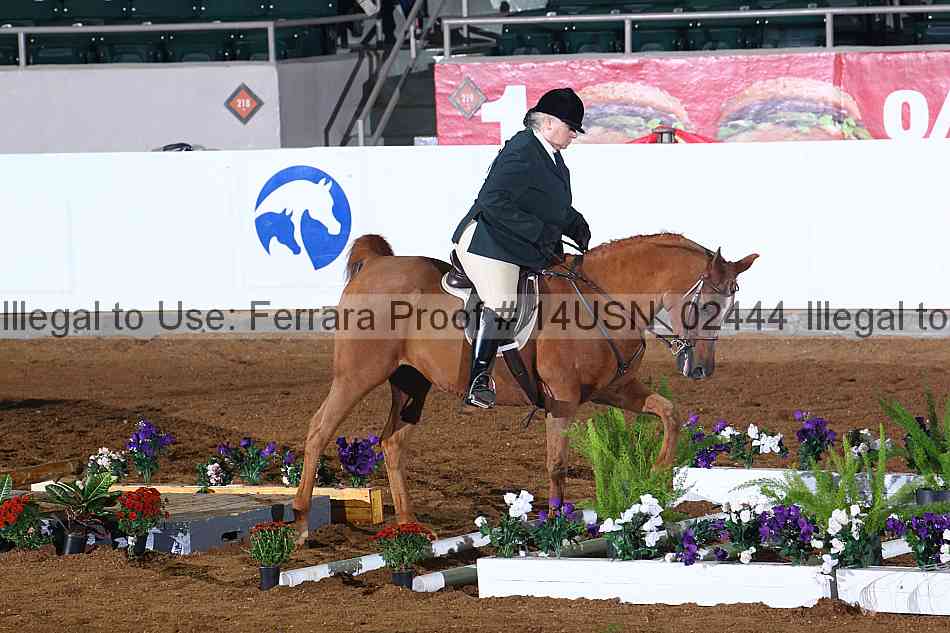 Proof 14usn_02444