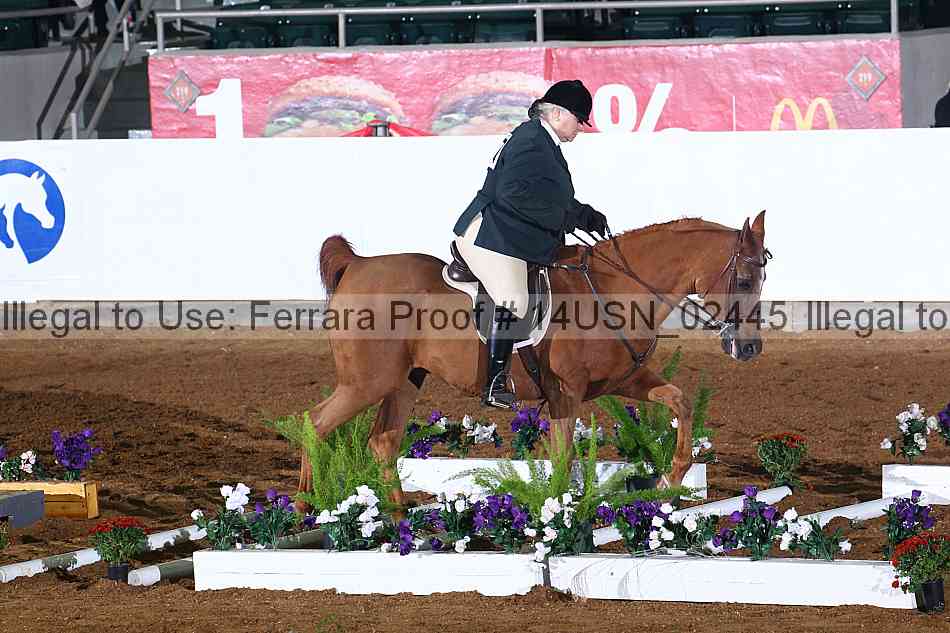 Proof 14usn_02445