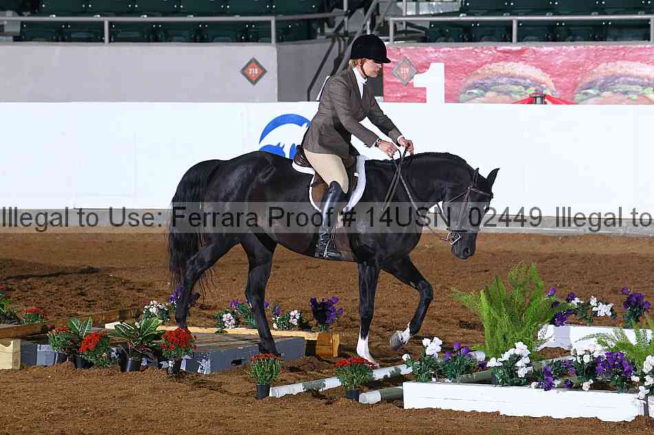 Proof 14usn_02449