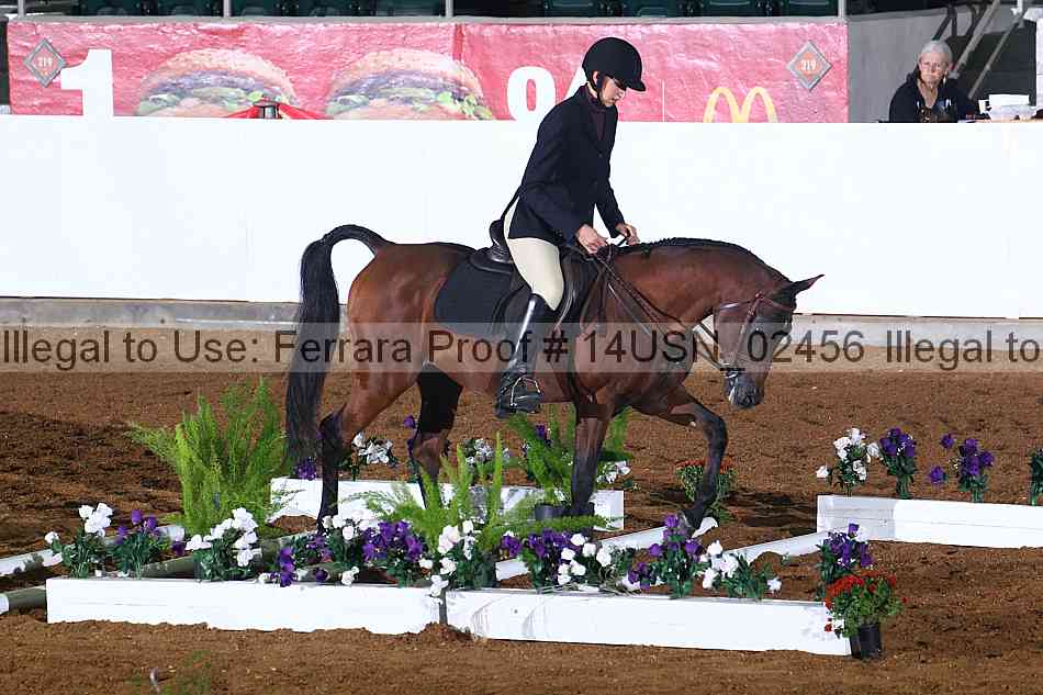 Proof 14usn_02456