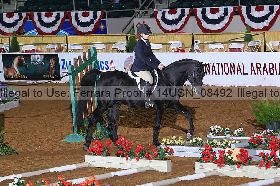 Proof 14usn_08492