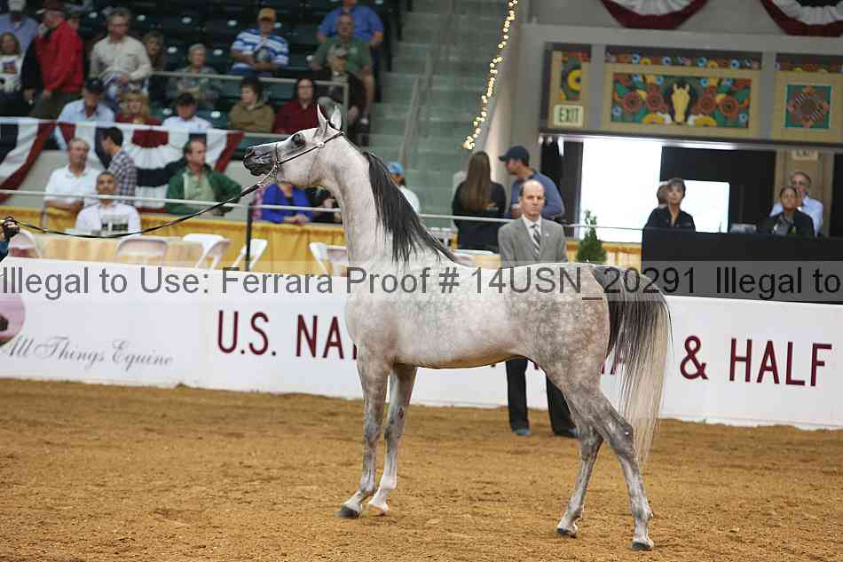 Proof 14usn_20291