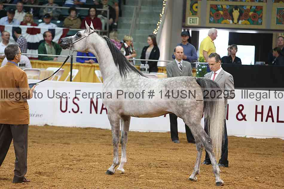 Proof 14usn_20295