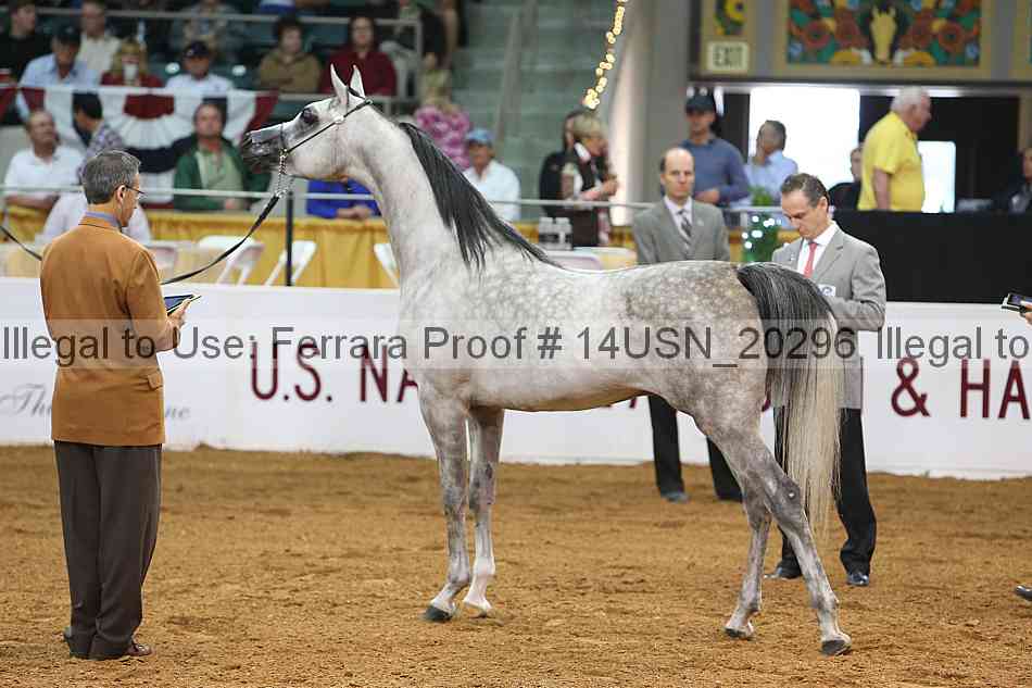 Proof 14usn_20296