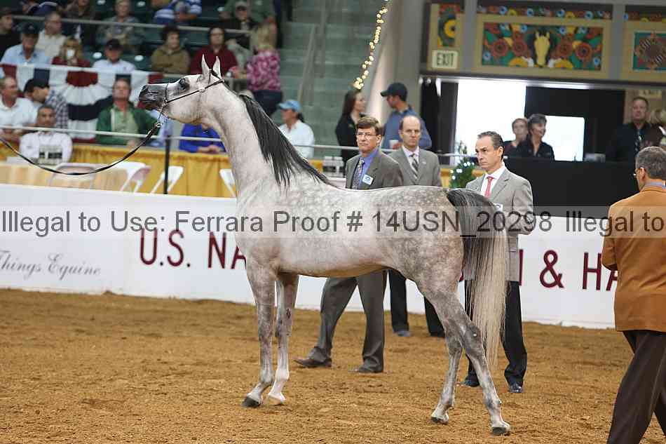 Proof 14usn_20298