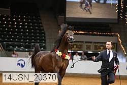 14usn_20370 proof