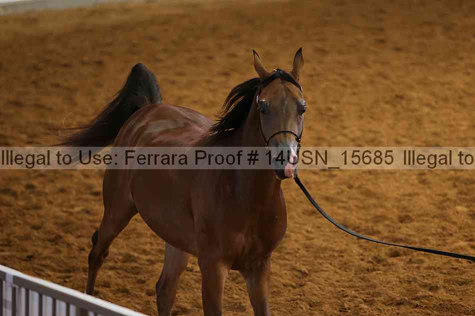 Proof 14usn_15685