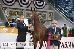 14usn_15696 proof