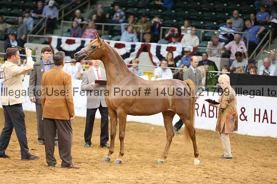 Proof 14usn_21709
