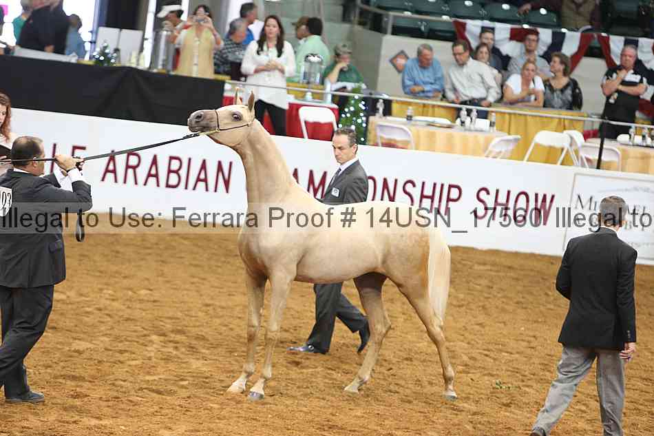 Proof 14usn_17560