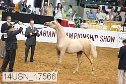 14usn_17566 proof