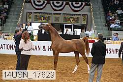 14usn_17629 proof