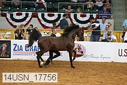 14usn_17756 proof