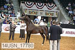 14usn_17780 proof