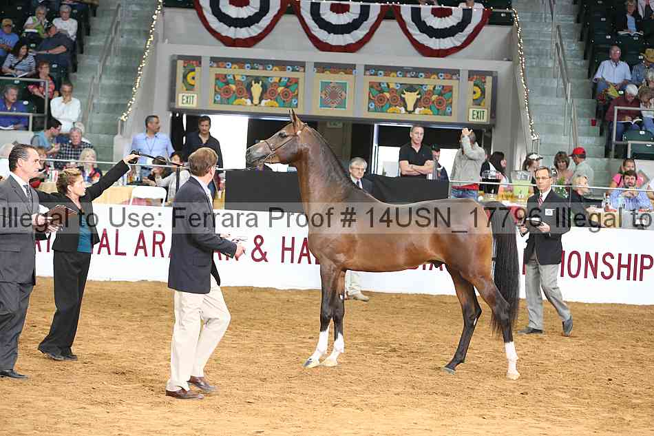 Proof 14usn_17796