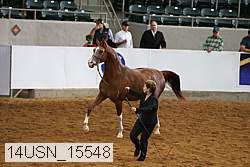 14usn_15548 proof