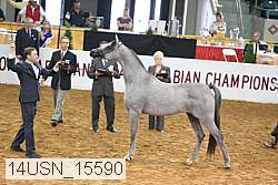 14usn_15590 proof
