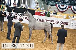 14usn_15591 proof