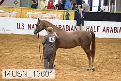 14usn_15601 proof