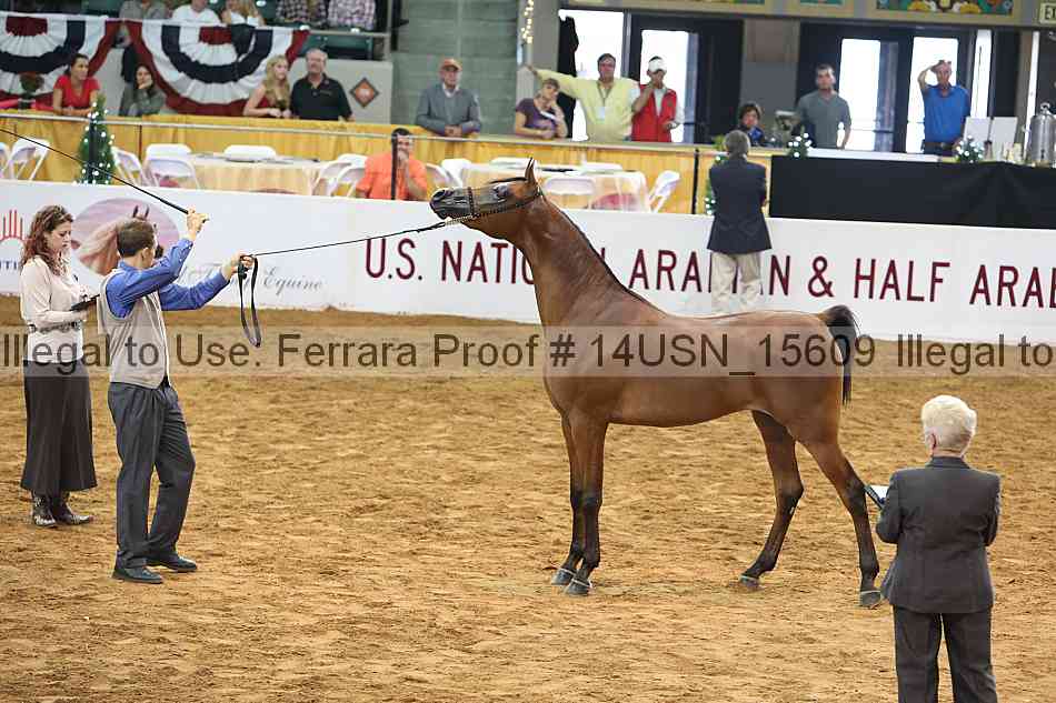 Proof 14usn_15609